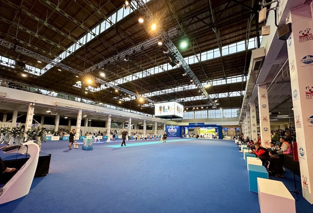 The Gossip Column: May 3, 2024